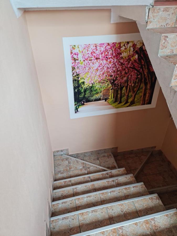 Apartman'S Ana Pale-Oc Jahorina No.2 Εξωτερικό φωτογραφία